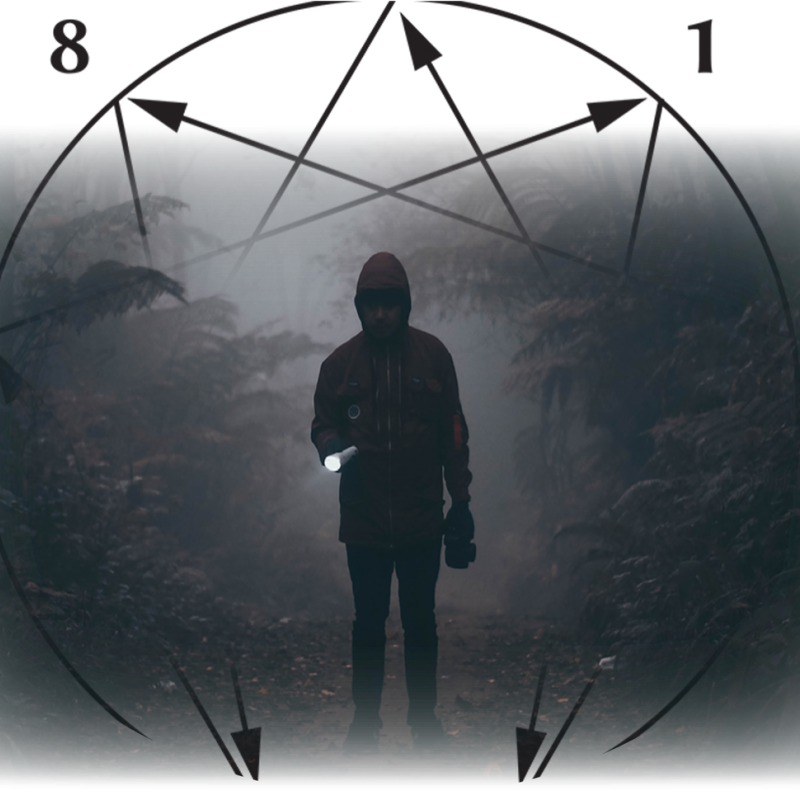 HET ENNEAGRAM: EEN NOG WEINIG BEKEND COACHINGCONCEPT