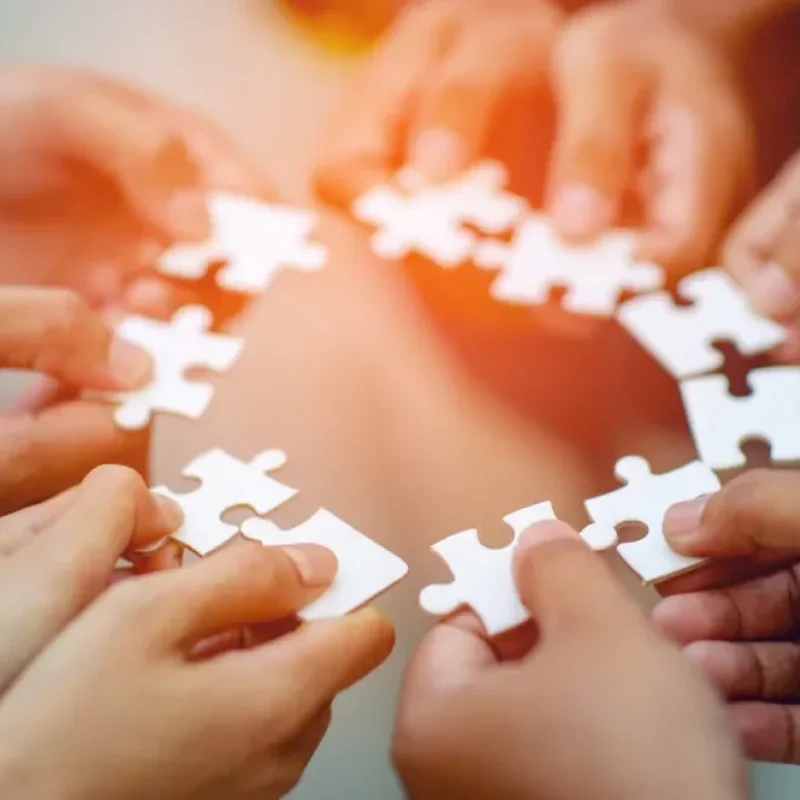 SAMENWERKING TUSSEN DE LEDEN VAN EEN TEAM.