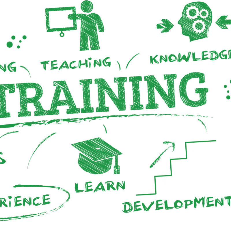 DE VAARDIGHEDEN VAN DE TRAINER-COACH (VERSUS COACHING WAYS) EN ARTIKEL OVER ANDRAGOGIE